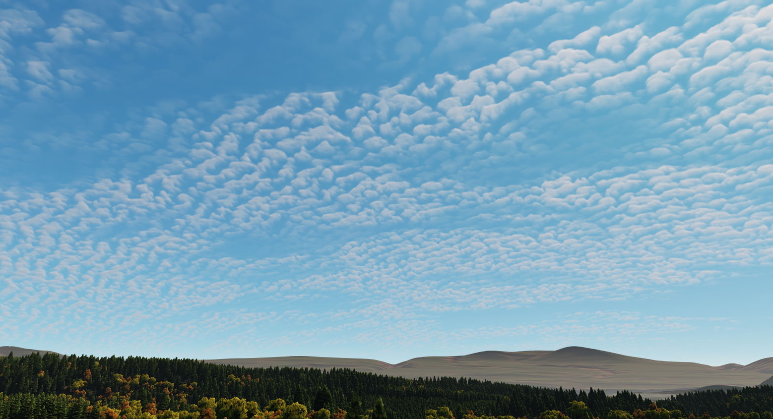 Cirrocumulus
